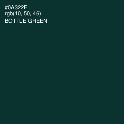 #0A322E - Bottle Green Color Image