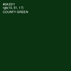 #0A3311 - County Green Color Image