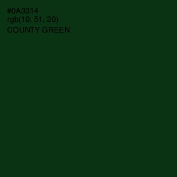 #0A3314 - County Green Color Image