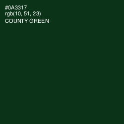 #0A3317 - County Green Color Image