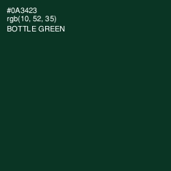 #0A3423 - Bottle Green Color Image