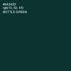 #0A342D - Bottle Green Color Image