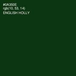 #0A350E - English Holly Color Image