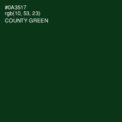 #0A3517 - County Green Color Image