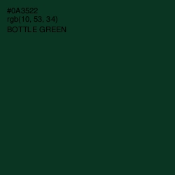 #0A3522 - Bottle Green Color Image