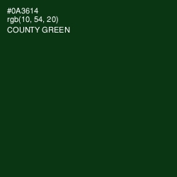 #0A3614 - County Green Color Image