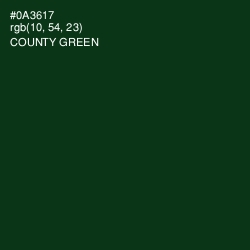 #0A3617 - County Green Color Image