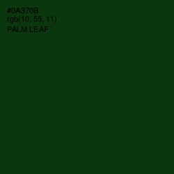 #0A370B - Palm Leaf Color Image