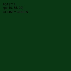 #0A3714 - County Green Color Image