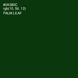#0A380C - Palm Leaf Color Image