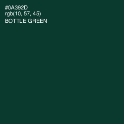 #0A392D - Bottle Green Color Image