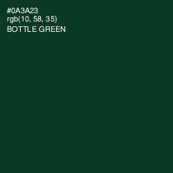 #0A3A23 - Bottle Green Color Image