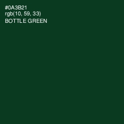 #0A3B21 - Bottle Green Color Image