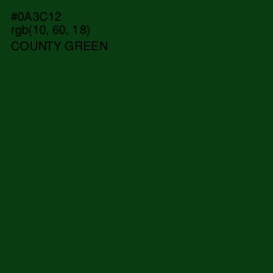 #0A3C12 - County Green Color Image