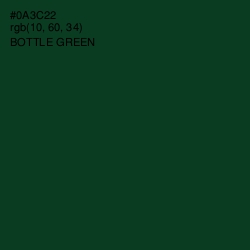 #0A3C22 - Bottle Green Color Image