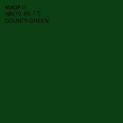 #0A3F11 - County Green Color Image