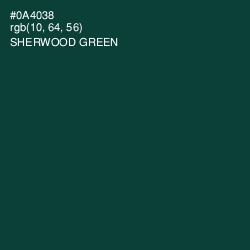 #0A4038 - Sherwood Green Color Image