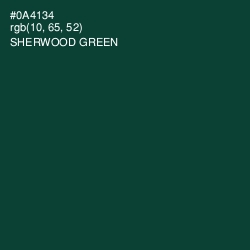 #0A4134 - Sherwood Green Color Image