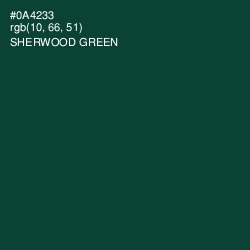 #0A4233 - Sherwood Green Color Image