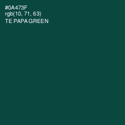 #0A473F - Te Papa Green Color Image