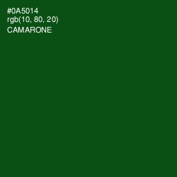 #0A5014 - Camarone Color Image