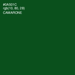 #0A501C - Camarone Color Image