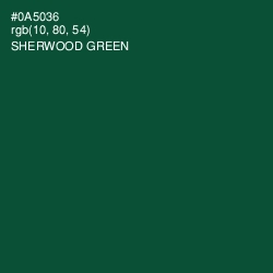 #0A5036 - Sherwood Green Color Image