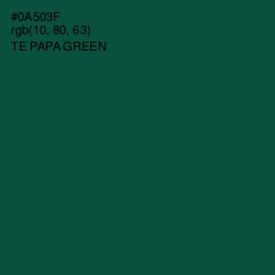 #0A503F - Te Papa Green Color Image