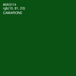 #0A5114 - Camarone Color Image