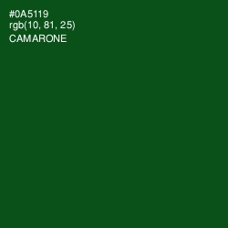 #0A5119 - Camarone Color Image