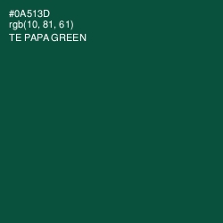 #0A513D - Te Papa Green Color Image