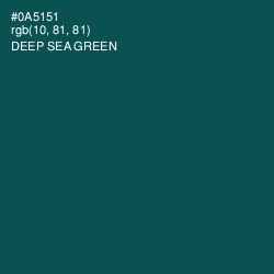 #0A5151 - Deep Sea Green Color Image