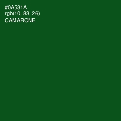 #0A531A - Camarone Color Image