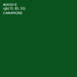 #0A531E - Camarone Color Image