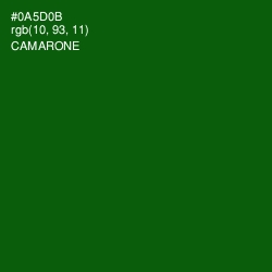 #0A5D0B - Camarone Color Image