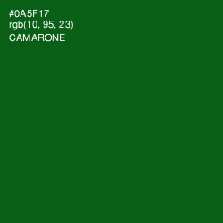 #0A5F17 - Camarone Color Image