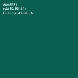 #0A5F51 - Deep Sea Green Color Image