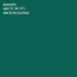 #0A6051 - Watercourse Color Image
