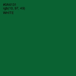 #0A6131 - Fun Green Color Image