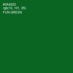 #0A6523 - Fun Green Color Image