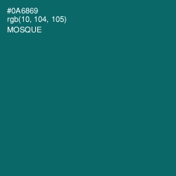 #0A6869 - Mosque Color Image