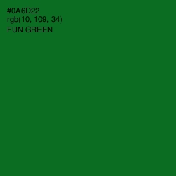 #0A6D22 - Fun Green Color Image