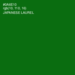 #0A6E10 - Japanese Laurel Color Image