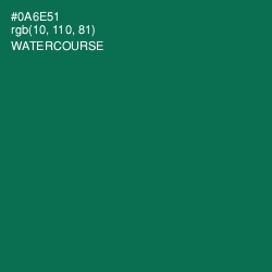 #0A6E51 - Watercourse Color Image