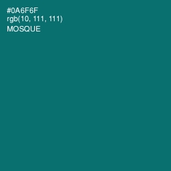 #0A6F6F - Mosque Color Image