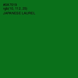 #0A7019 - Japanese Laurel Color Image