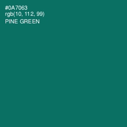 #0A7063 - Pine Green Color Image