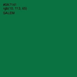 #0A7141 - Salem Color Image