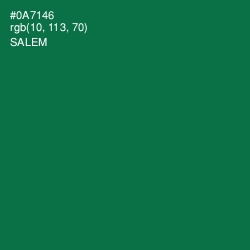 #0A7146 - Salem Color Image