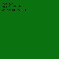 #0A730F - Japanese Laurel Color Image